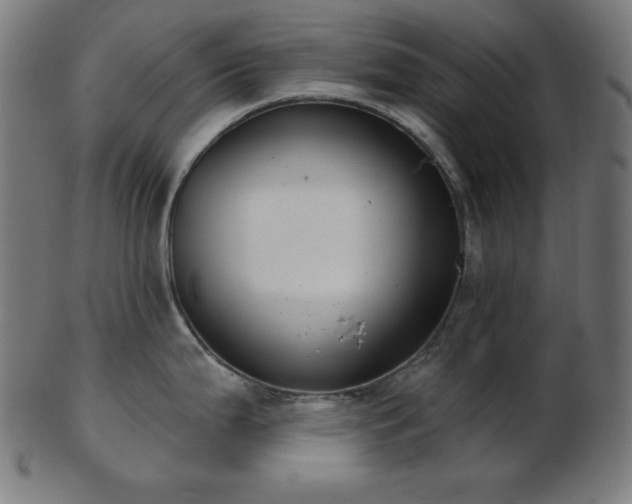 X0000103461199200809121556