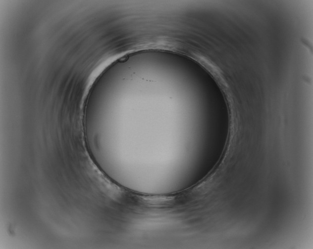 X0000103461200200809121556