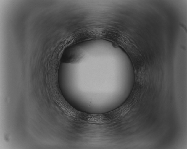 X0000103461201200809121555
