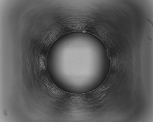 X0000103461202200809121555