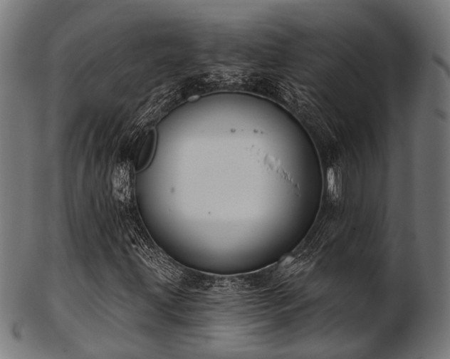X0000103461203200809121555