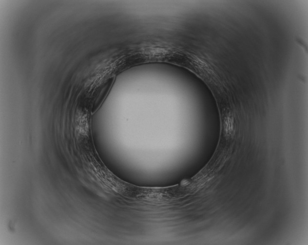 X0000103461204200809121555