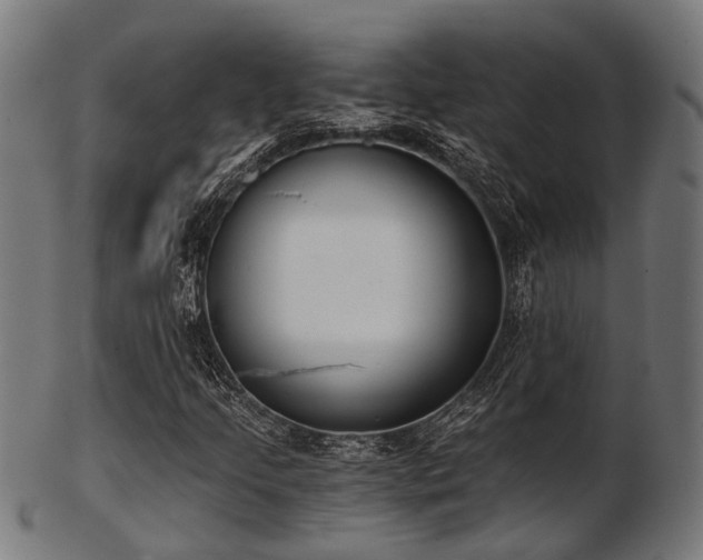 X0000103461205200809121555