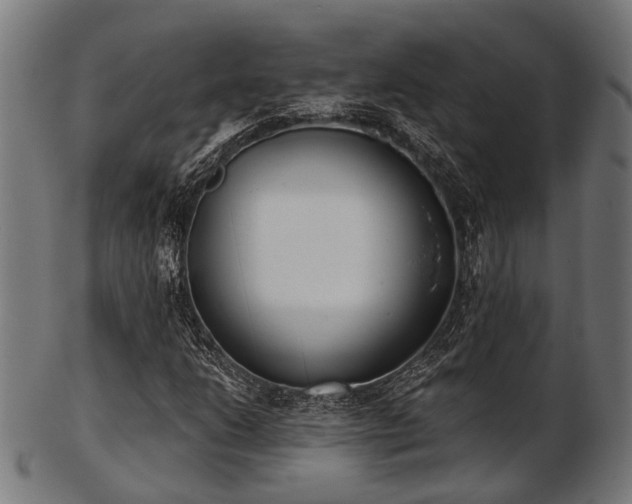 X0000103461206200809121555