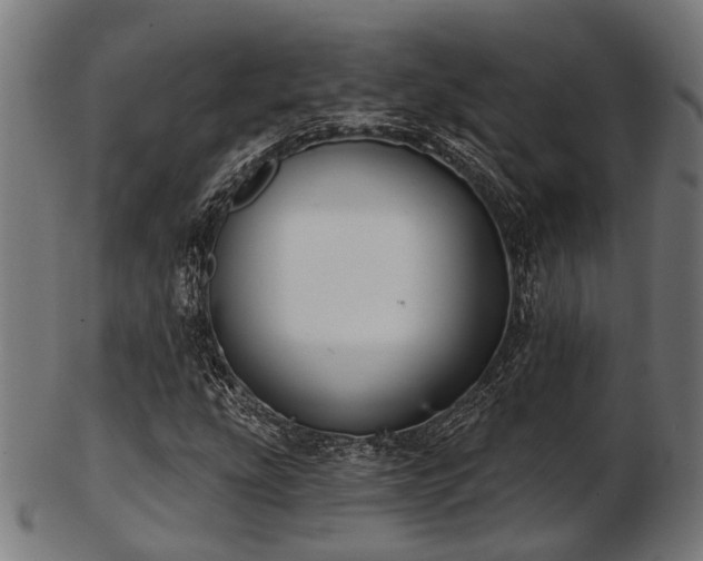 X0000103461207200809121555