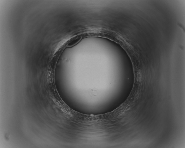 X0000103461208200809121555