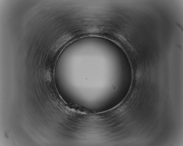 X0000103461209200809121555