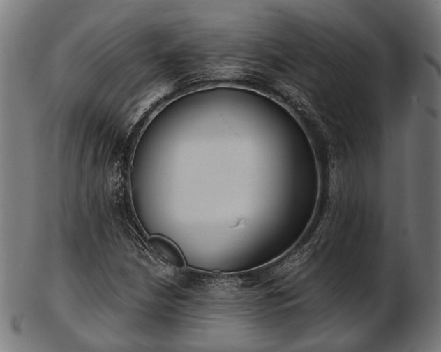 X0000103461210200809121555