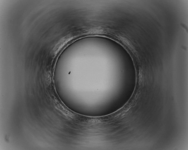 X0000103461212200809121555