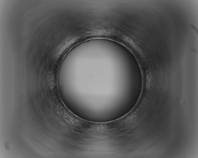 X0000103461213200809121555