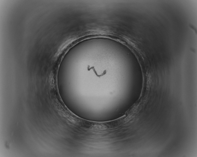 X0000103461215200809121555