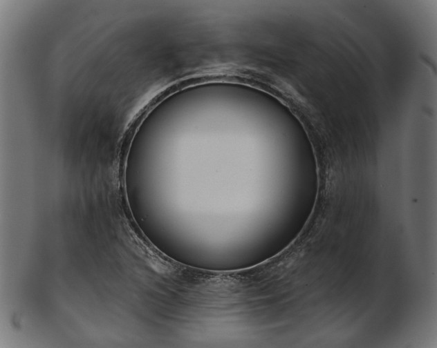 X0000103461216200809121555