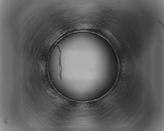 X0000103461217200809121555