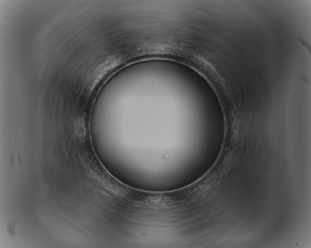 X0000103461218200809121555