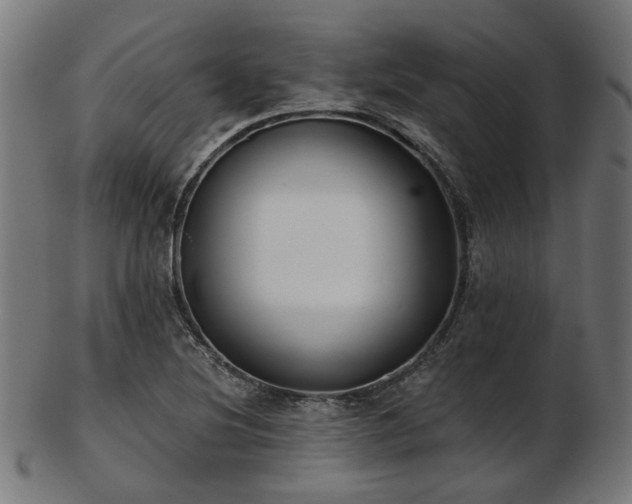 X0000103461220200809121555