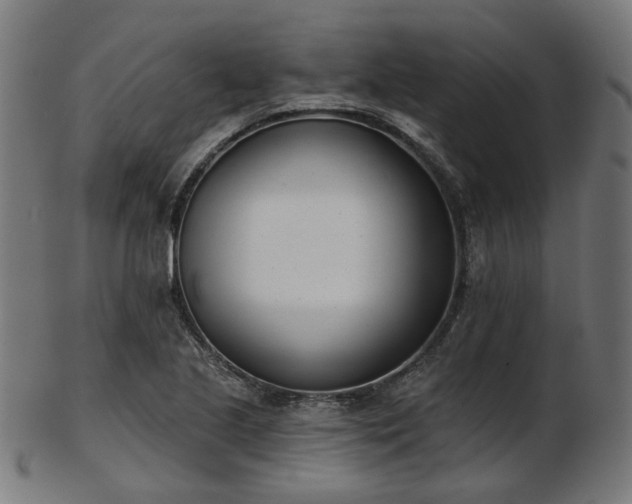 X0000103461221200809121555