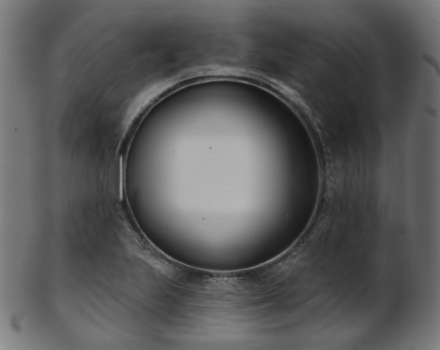 X0000103461223200809121556
