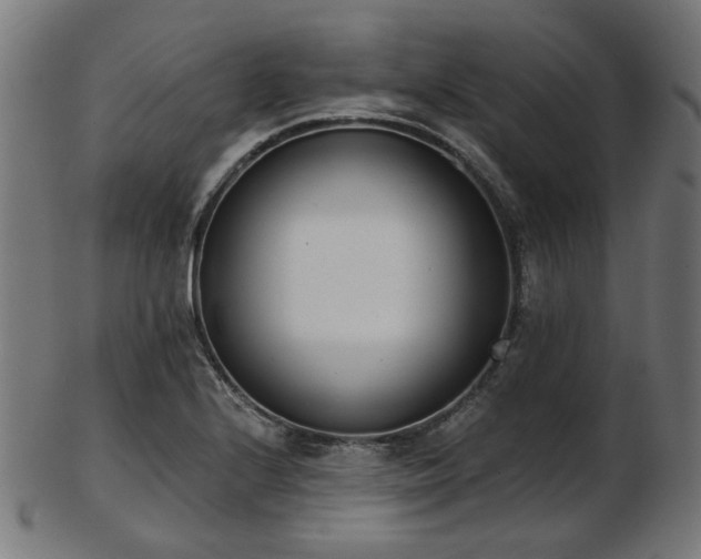 X0000103461224200809121556