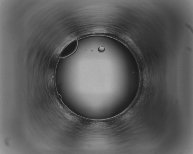 X0000103461225200809121556