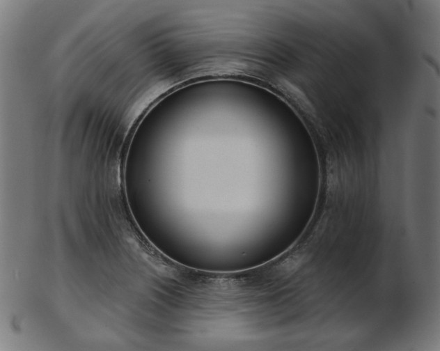 X0000103461226200809121556