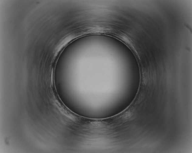 X0000103461227200809121556