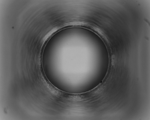 X0000103461229200809121556