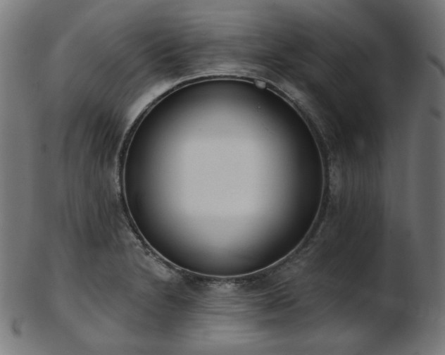 X0000103461230200809121556