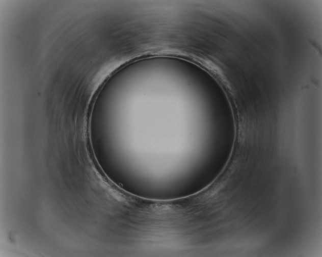 X0000103461231200809121556