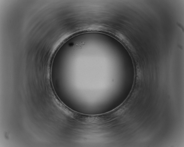 X0000103461232200809121556