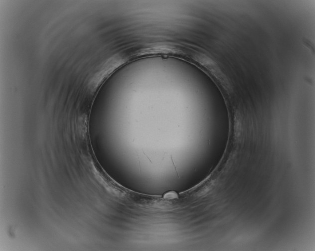 X0000103461233200809121556