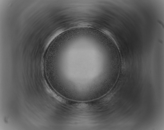 X0000103461235200809121556