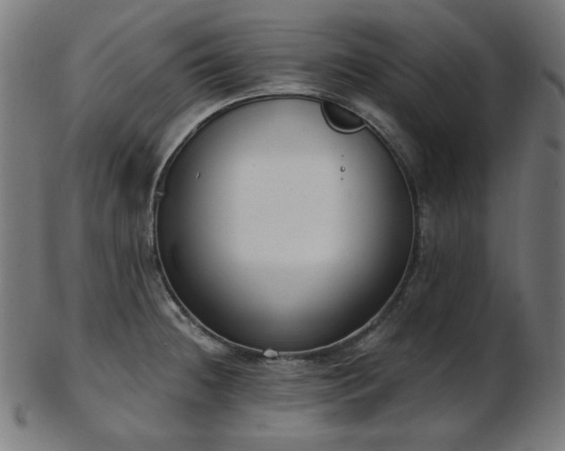 X0000103461236200809121556