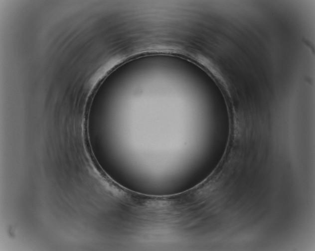 X0000103461237200809121556