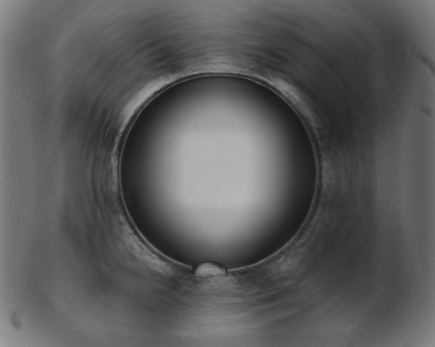 X0000103461238200809121556