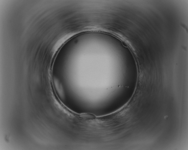 X0000103461239200809121556