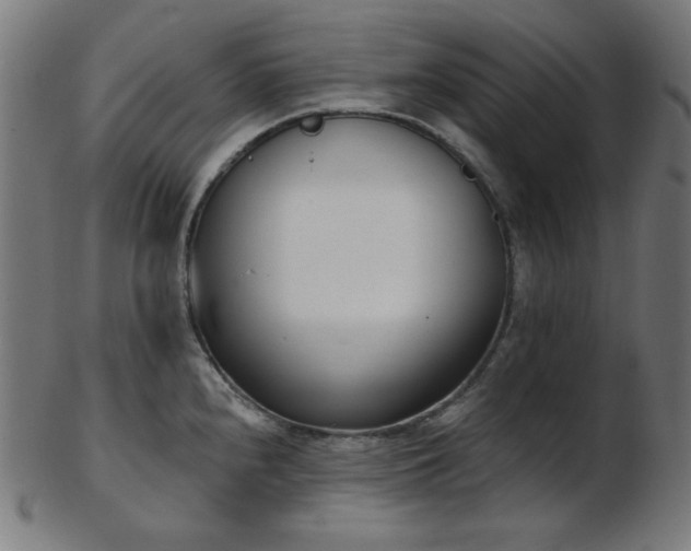 X0000103461240200809121556