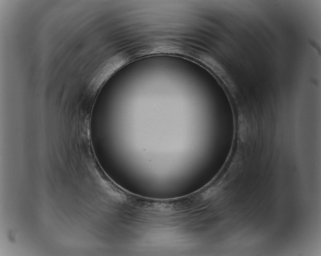 X0000103461241200809121556