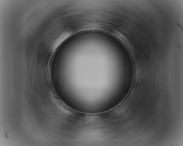 X0000103461242200809121556