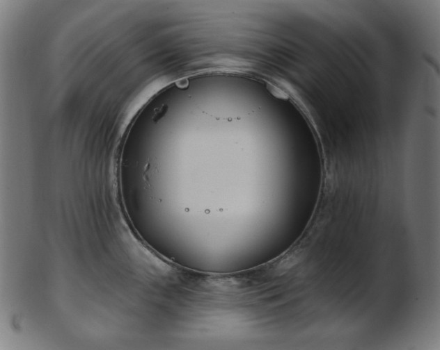 X0000103461243200809121556