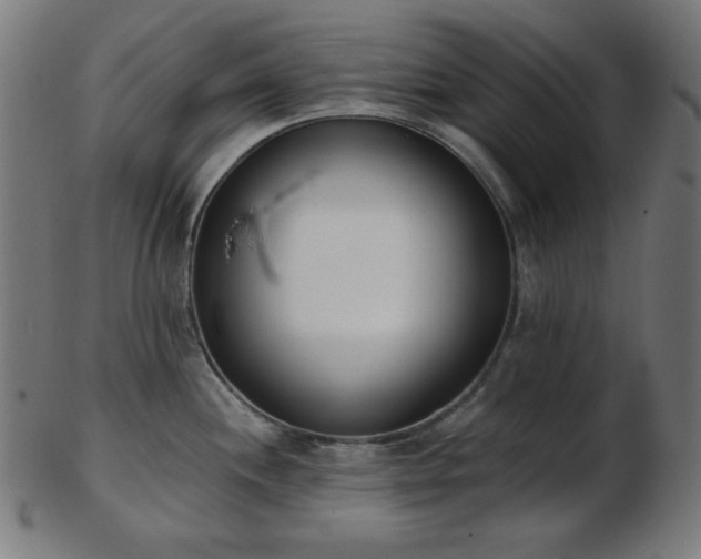 X0000103461244200809121556