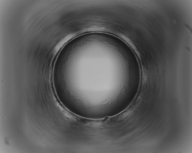 X0000103461245200809121556