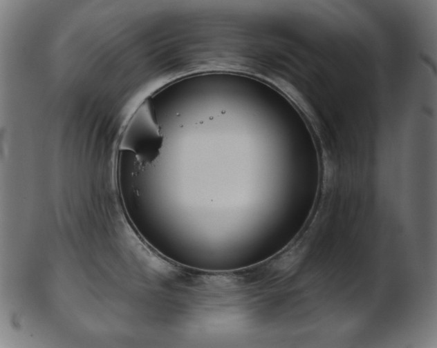 X0000103461246200809121556