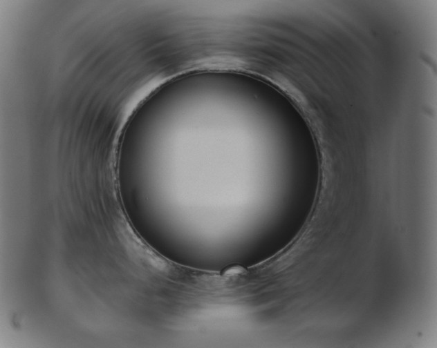 X0000103461248200809121556