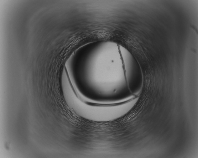 X0000103461249200809121555