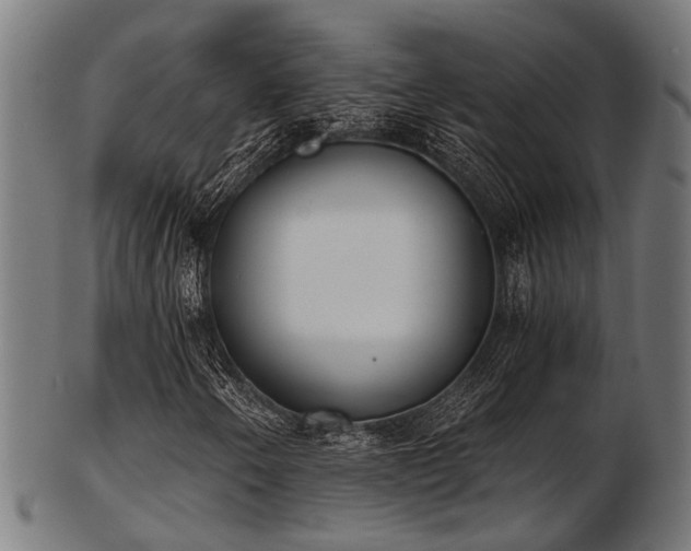 X0000103461250200809121555