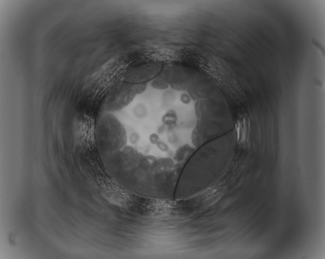 X0000103461251200809121555