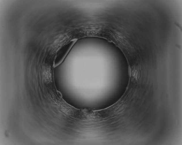 X0000103461252200809121555