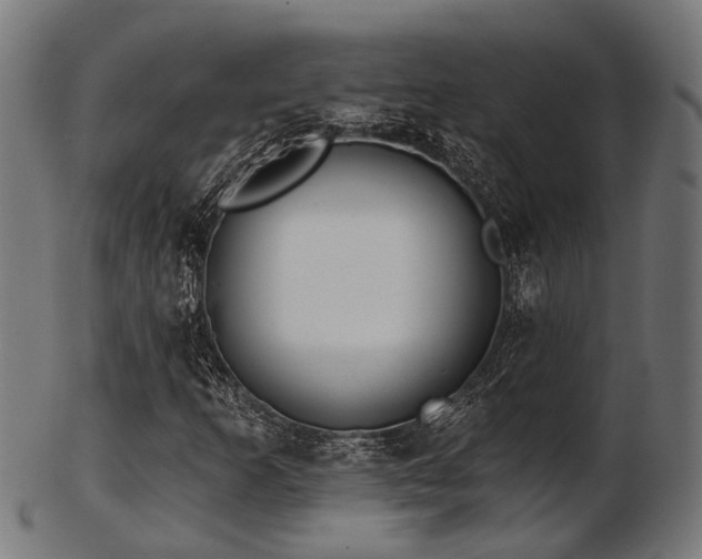 X0000103461253200809121555