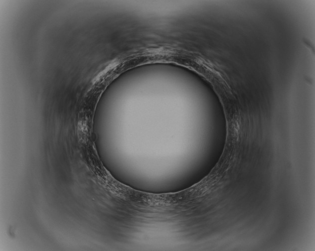 X0000103461254200809121555