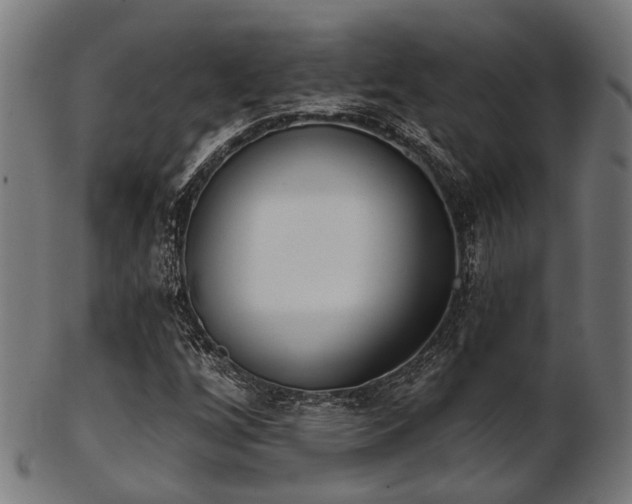 X0000103461256200809121555